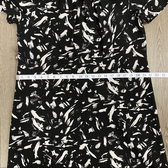Lark & Ro Black & White Shortsleeved Shift Dress - Picture 12 of 14
